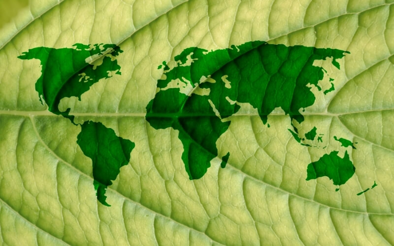 European green deal avrupa PMO Partners
